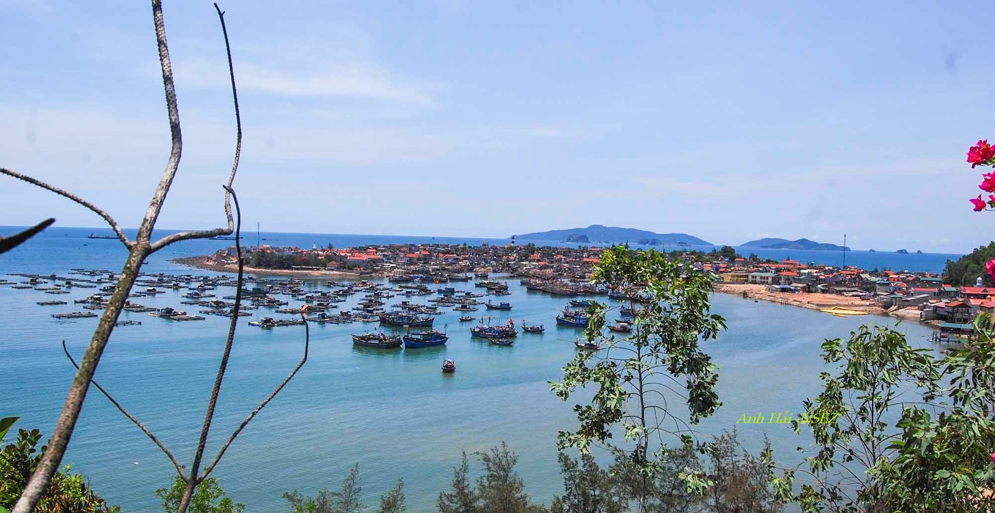 Vịnh Đảo Nghi Sơn