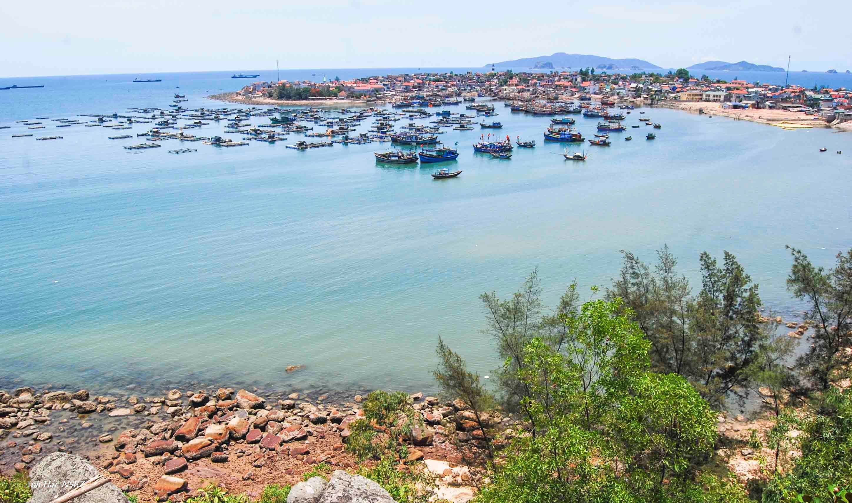Vịnh Đảo Nghi Sơn