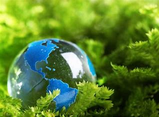 Công khai nội dung Báo cáo đề xuất cấp Giấy phép môi trường dự án: "Nhà máy sản xuất dầu ăn và các sản phẩm chiết xuất từ dầu ăn của Công ty TNHH Dầu thực vật khu vực miền Bắc tại KKT Nghi Sơn, xã Hải Hà, thị xã Nghi Sơn, tỉnh Thanh Hóa"