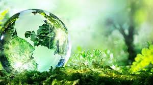 Công khai nội dung Báo cáo đề xuất cấp Giấy phép môi trường dự án: đầu tư Nhà máy sản xuất Formalin, keo dán gỗ, dầu mỡ bôi trơn tại lô CN - 02.2, Bắc khu A, KCN Bỉm Sơn, tỉnh Thanh Hoá