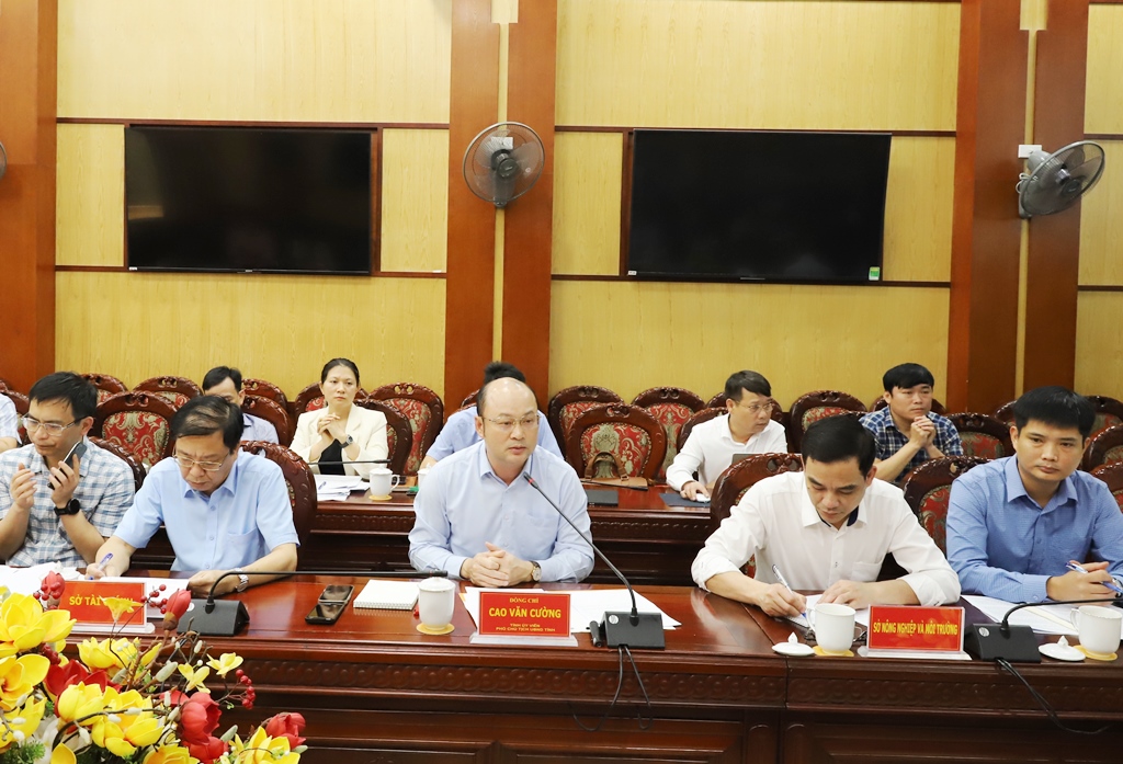 Phó Chủ tịch UBND tỉnh Cao Văn Cường tiếp và làm việc với đoàn công tác của Ngân hàng Thế giới (WB)