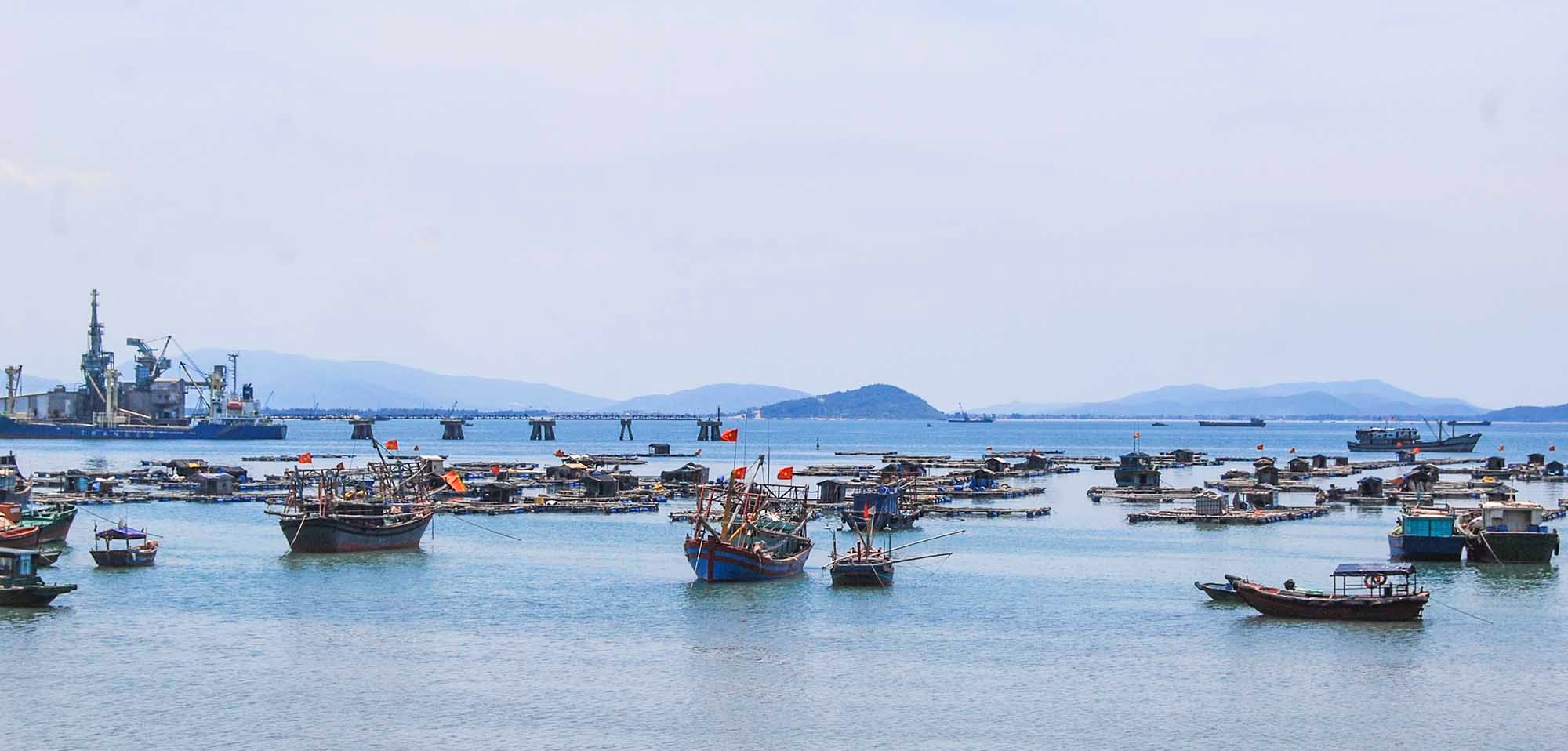 Vịnh Đảo Nghi Sơn