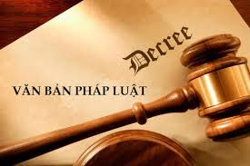 Lĩnh vực Doanh nghiệp & Lao động